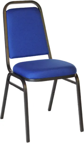 2024 06 19 11 08 58 AM 600x600.png