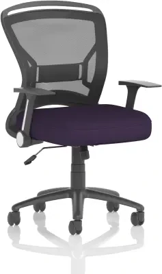 Dynamic Zeus Chair: Stylish, Functional and Great Value for Money